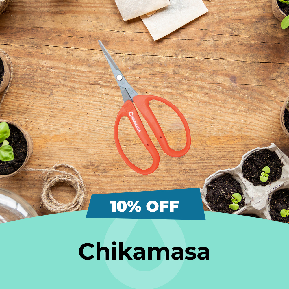Chikamasa - 10% OFF, Hydro Experts, July Sale 2025