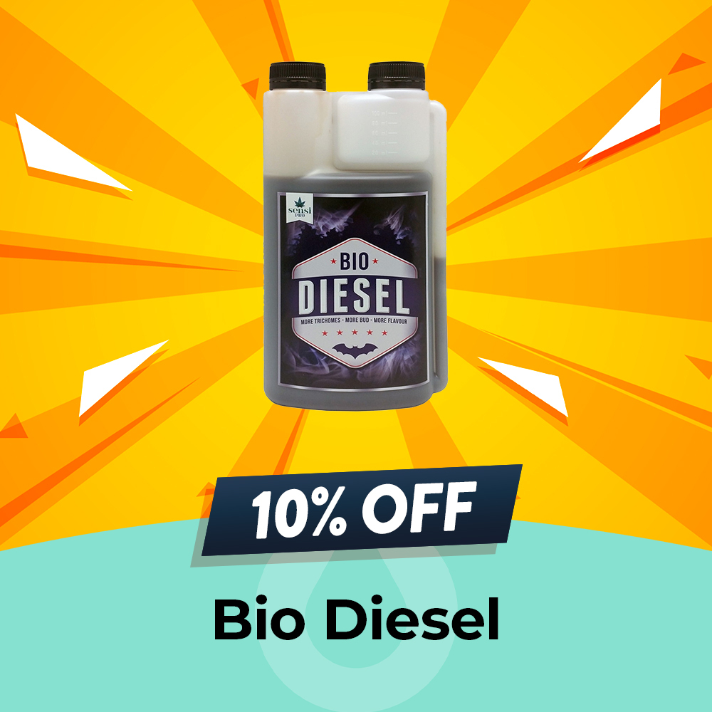 Bio Diesel - Up To 10% OFF, Hydro Experts