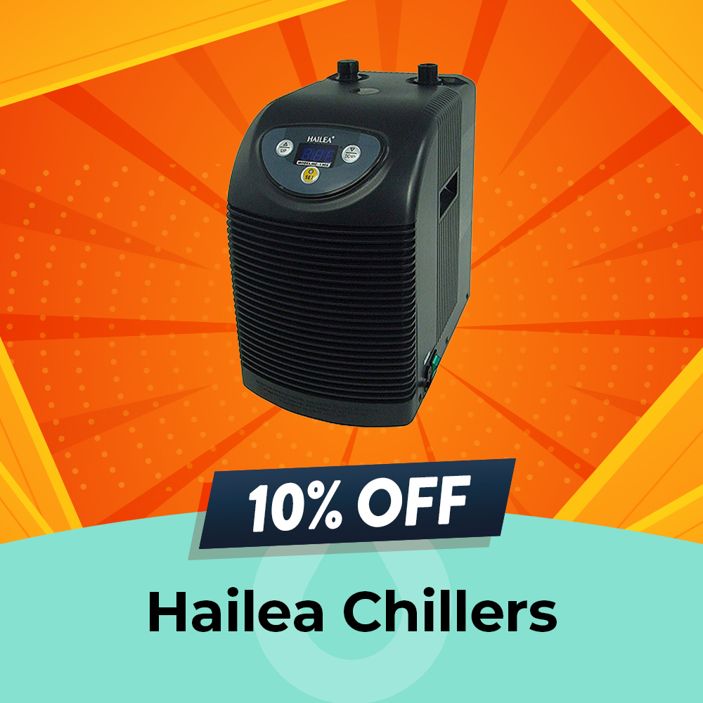 Hailea Chillers Sale - 10% OFF, Hydro Experts, Clearance Sale