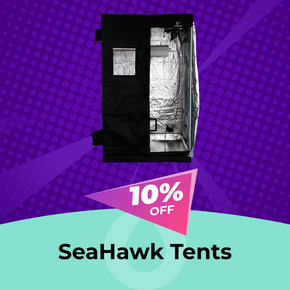 Sea Hawk, 15% OFF, Hydro Experts
