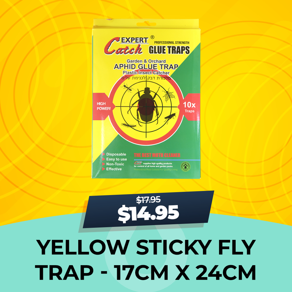 Yellow Sticky Fly Trap, 15% OFF, Hydro Experts