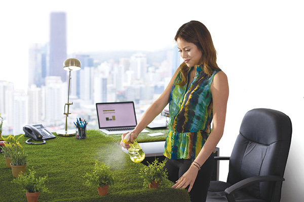 Benefit of Hydroponics in offices