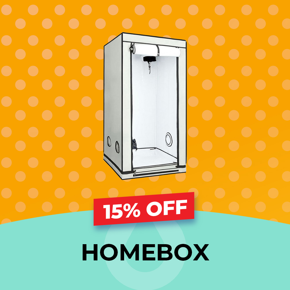 Homebox Tent - 15% OFF, Hydro Experts, August Sale
