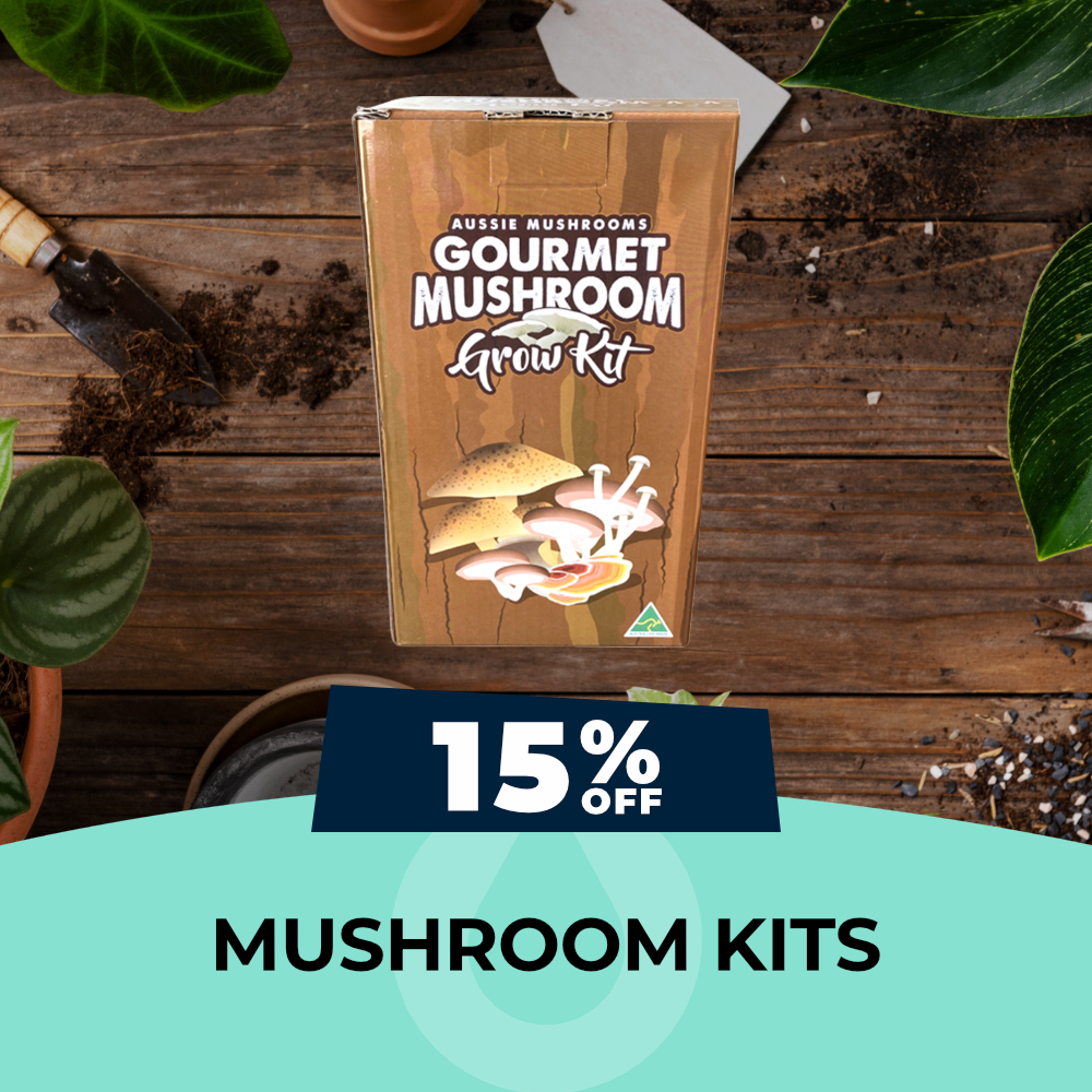 Aussie Mushroom Kits – 15% OFF, Hydro Experts