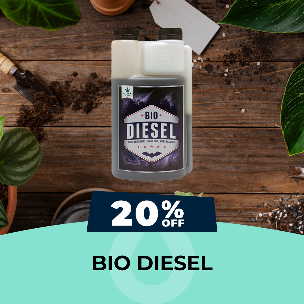 Bio Diesel - 20% OFF, Hydro Experts