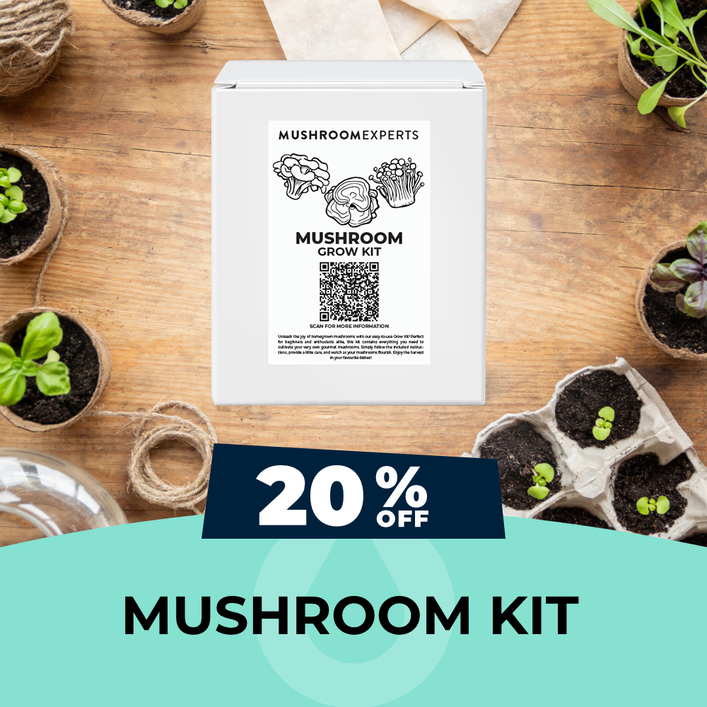 Mushroom Kits - 20% OFF, Hydro Experts