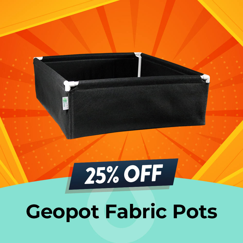 GeoPlanter Fabric Raised - 25% OFF, Hydro Experts, Clearance Sale
