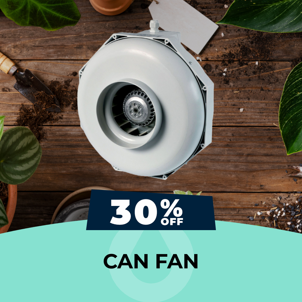 Can Fan Centrifugal Fans - 30% OFF, Hydro Experts