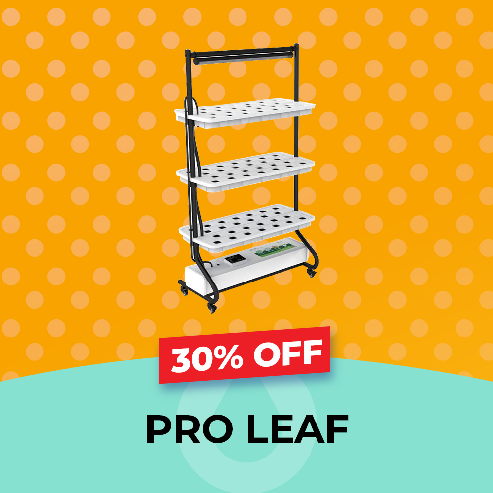 Pro Leaf - 30% OFF, Hydro Experts, August