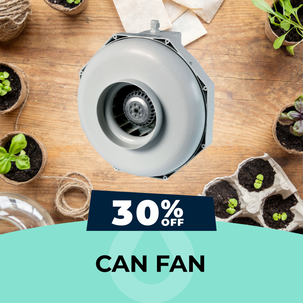 Can Fan Centrifugal Fans (In Stock Only) - 30% OFF, Hydro Experts