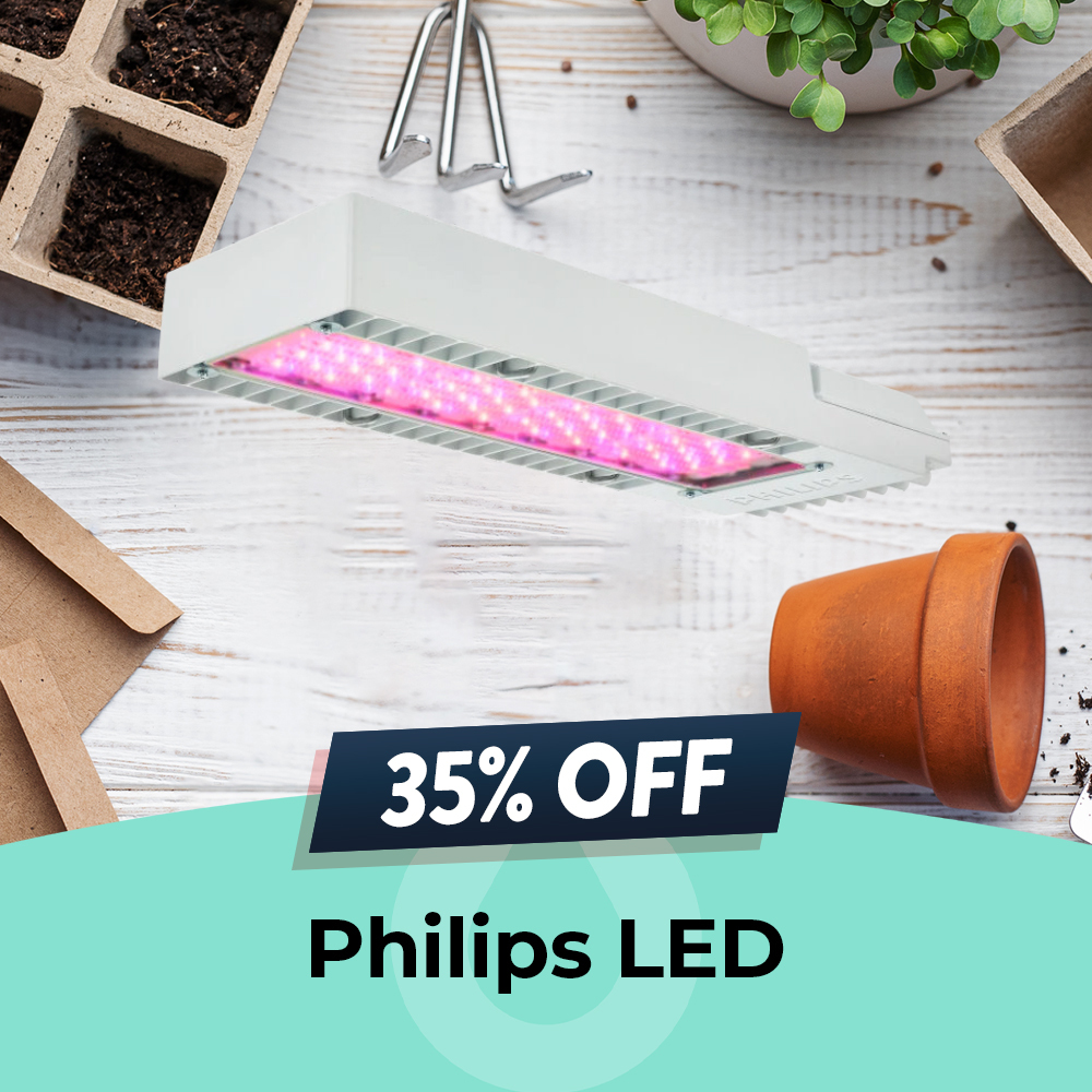 Philips LEDs, 35% OFF, Hydro Experts