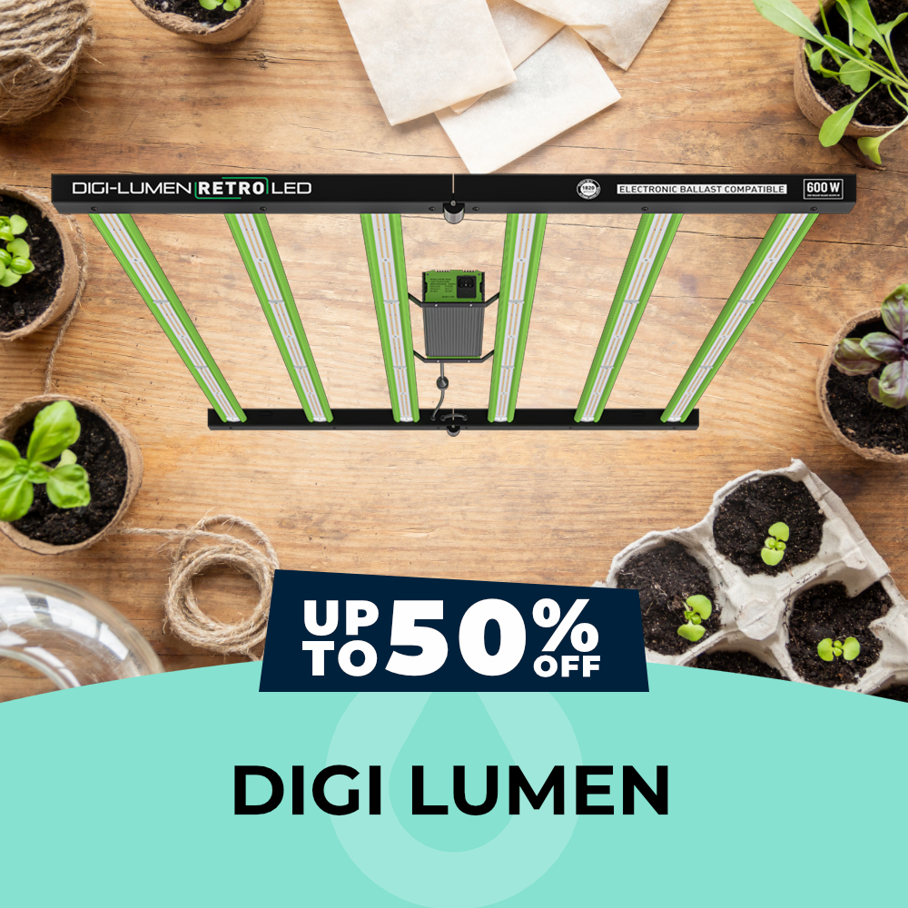 Digi Lumen - Up To 50% OFF, Hydro Experts
