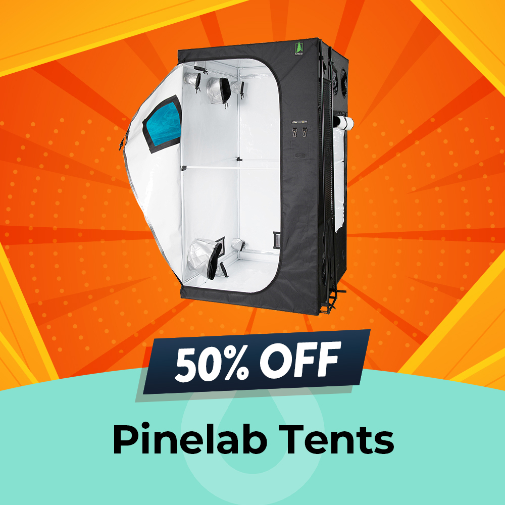 Pinelab Tents - 50% OFF, Hydro Experts, Clearance Sale