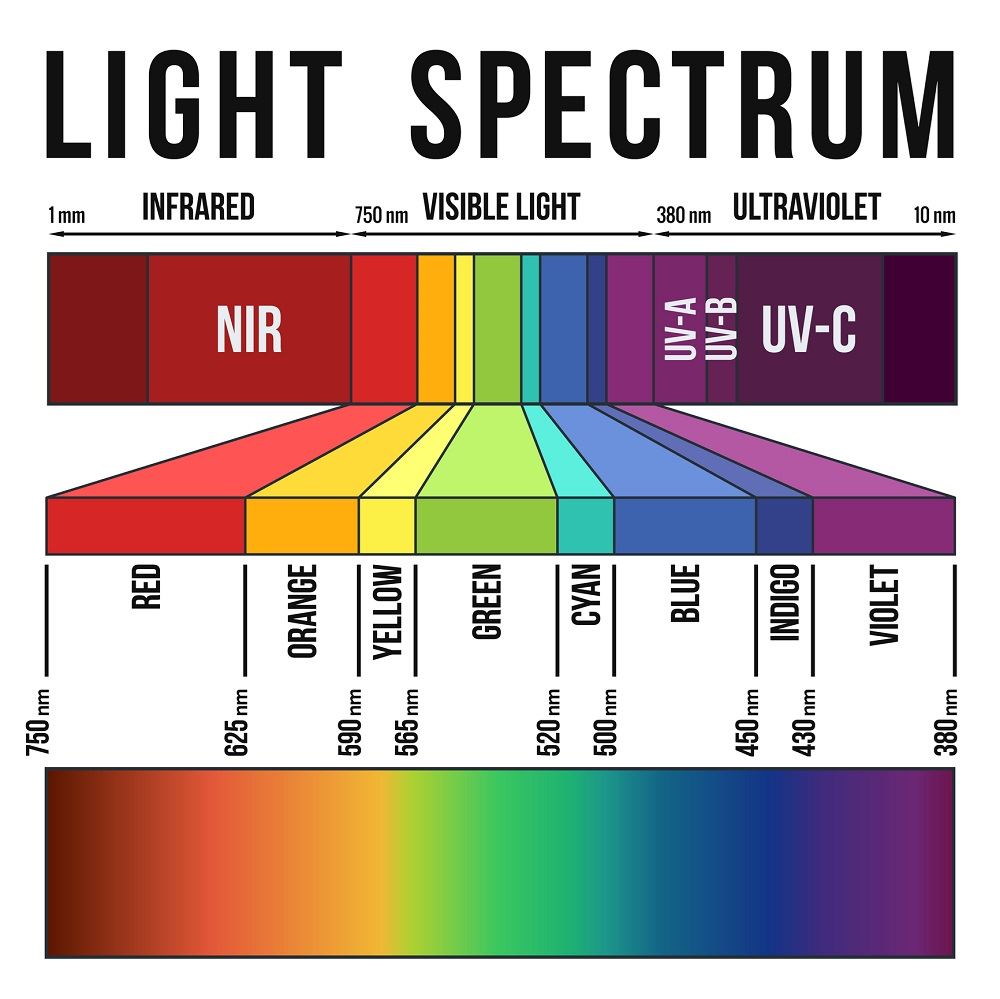 Hydroponic light spectrum