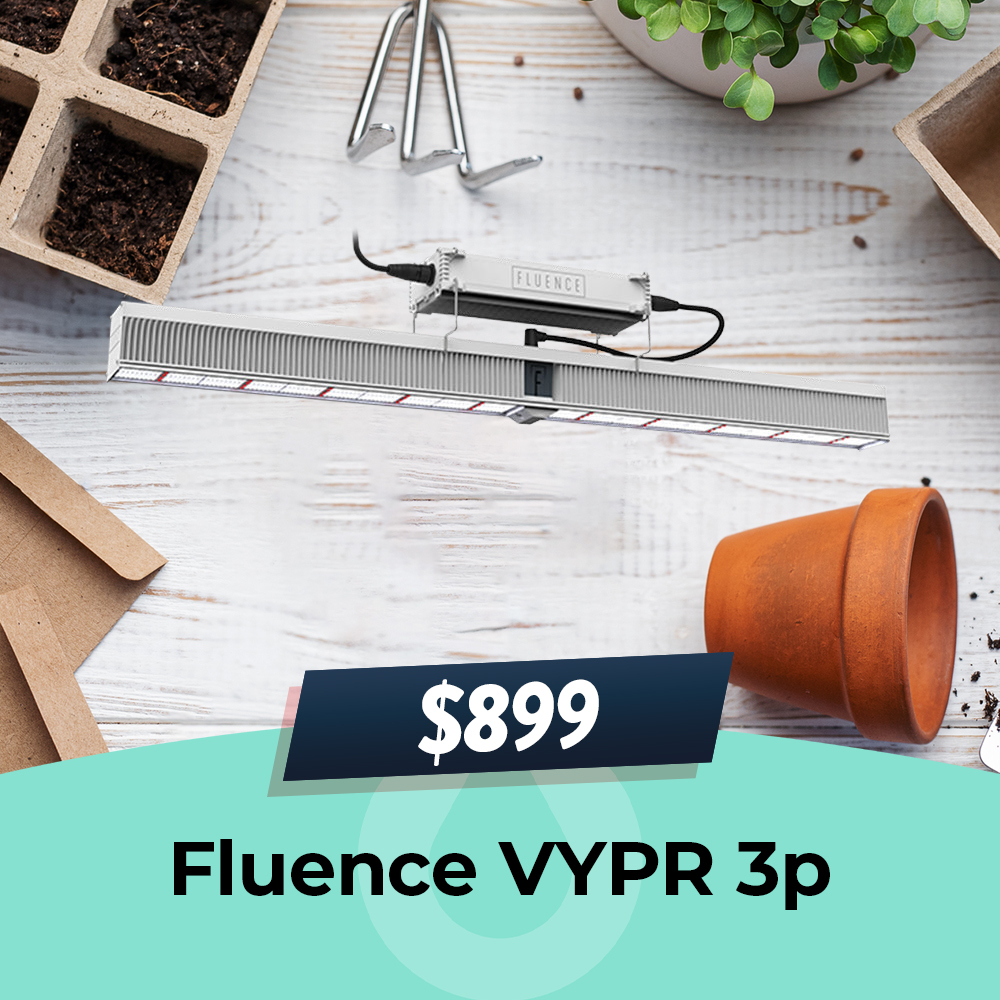 Fluence VYPR 3P - $999, Hydro Experts