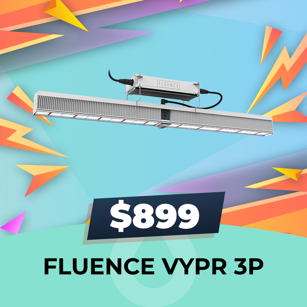 Fluence VYPR 3P - $899, Hydro Experts