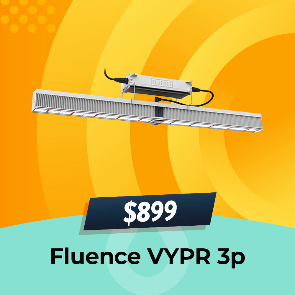 Fluence VYPR 3P Sale, 630W LED, $999 Only, Hydro Experts