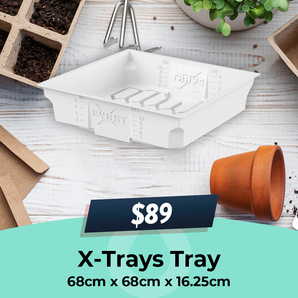 X-Trays 25% OFF, Hydro Experts