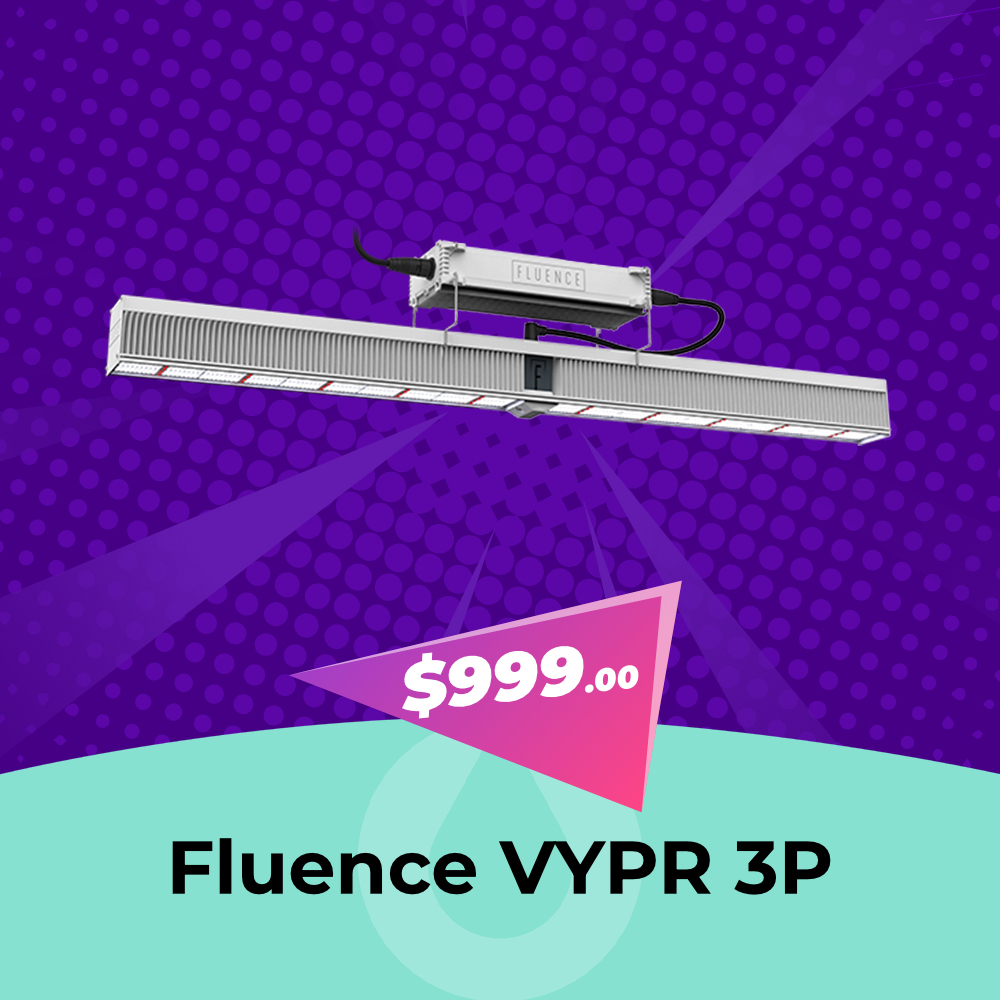 Fluence VYPR 3P - $999, Hydro Experts