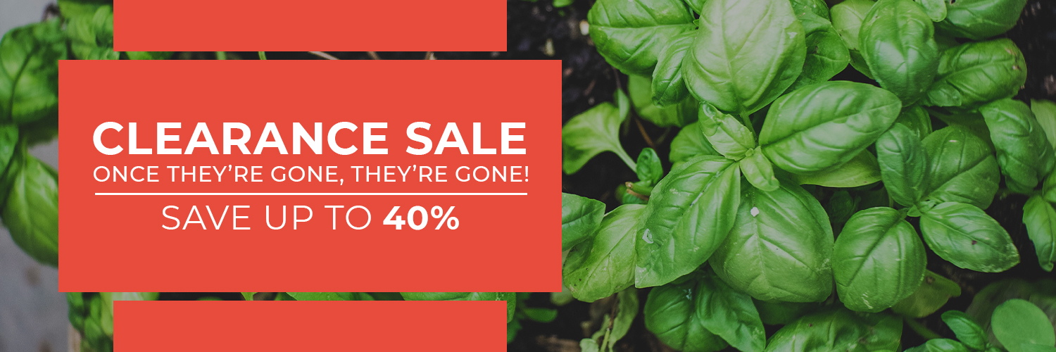 Clearance Sale, Hydro Experts