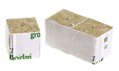 Rockwool Cube to increase yeild in hydroponics