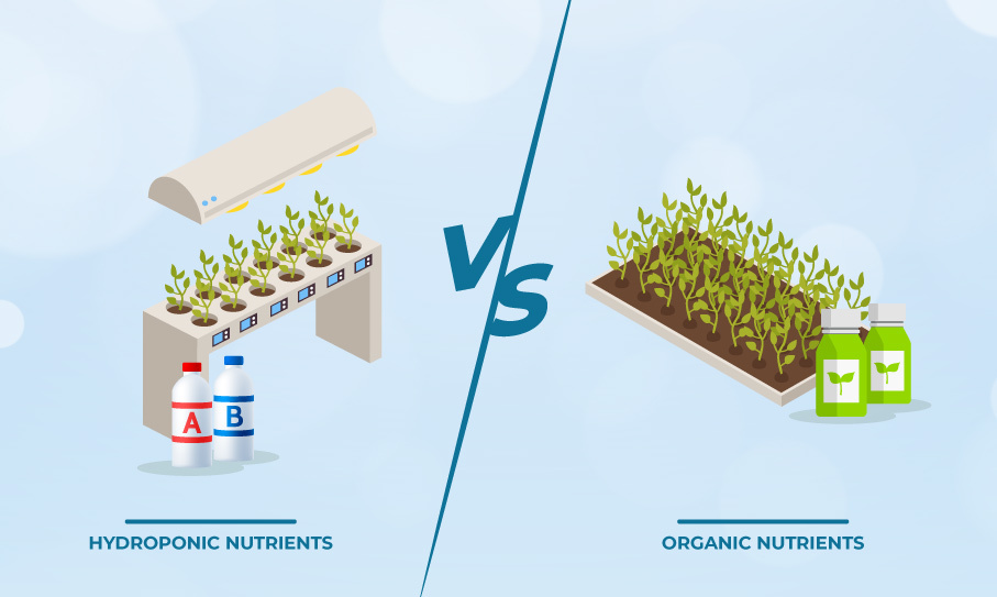 hydroponics, organic nutrients, hydroponics nutrients, hydro experts