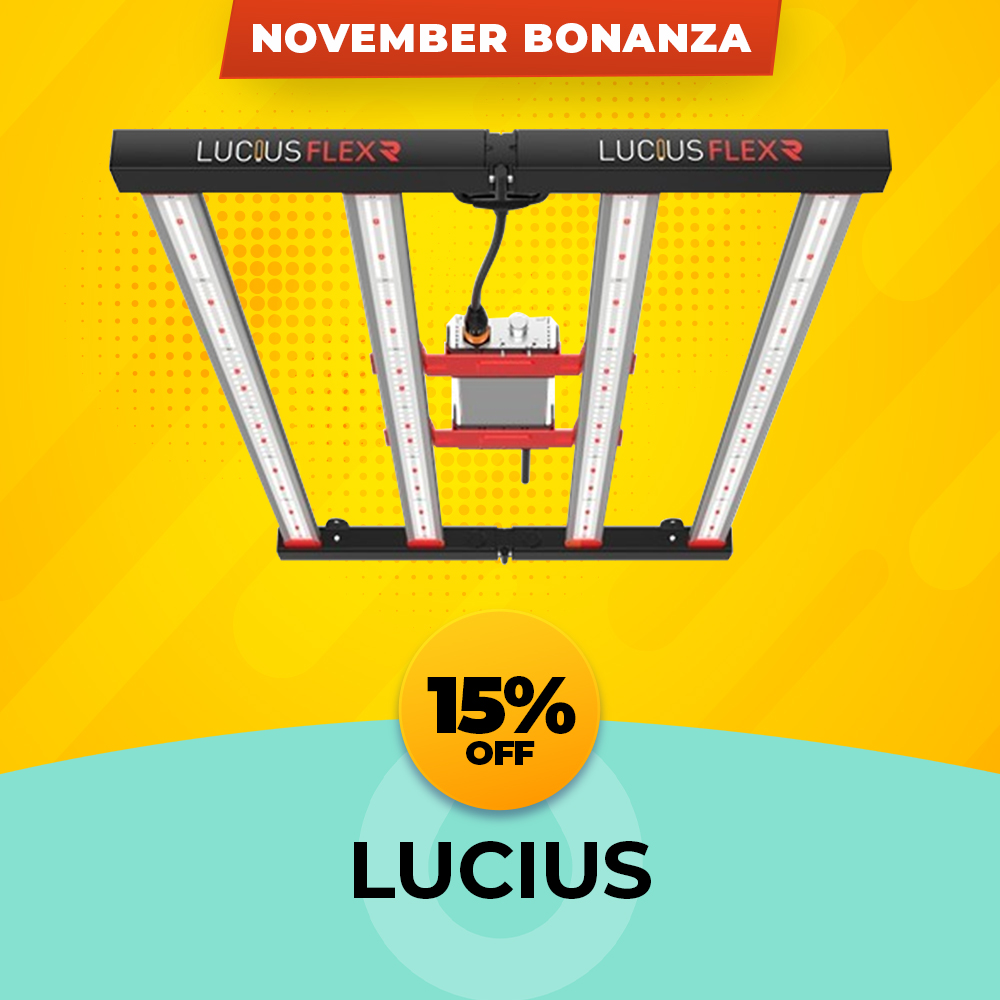 LUCIUS FLEX R range - 15% OFF