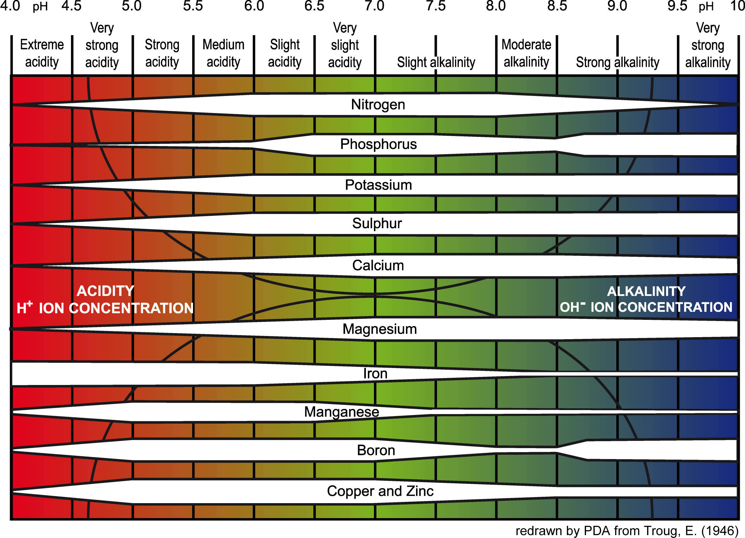 Ph Nutrient Absorption Chart