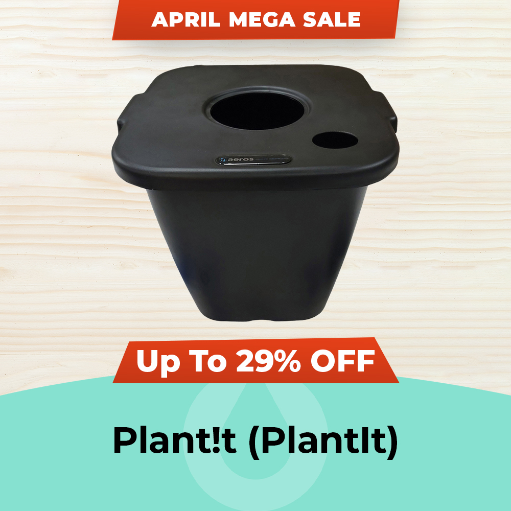 Plantit offer