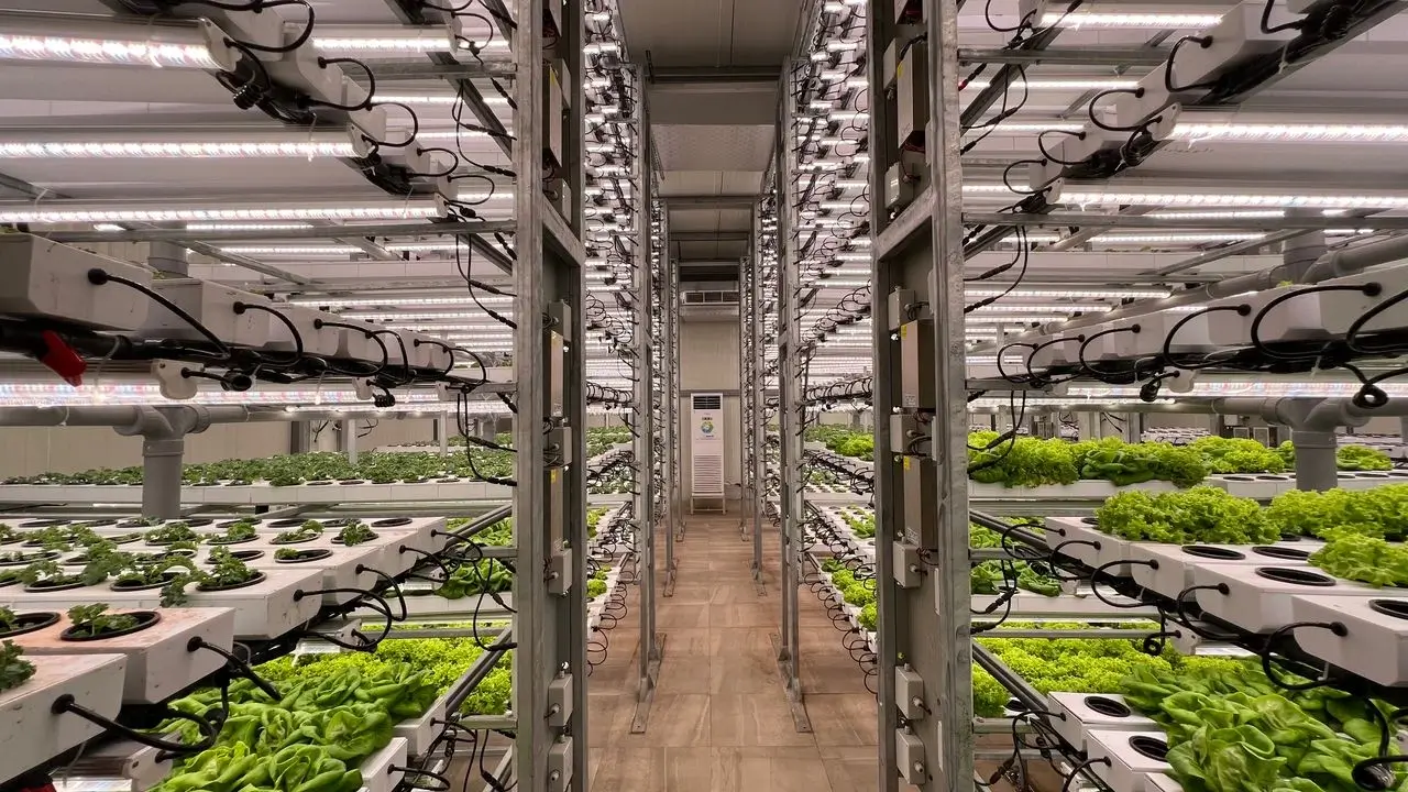 Smart hydroponic scheduling guide — nutrients, light cycles, and growth stage strategies
