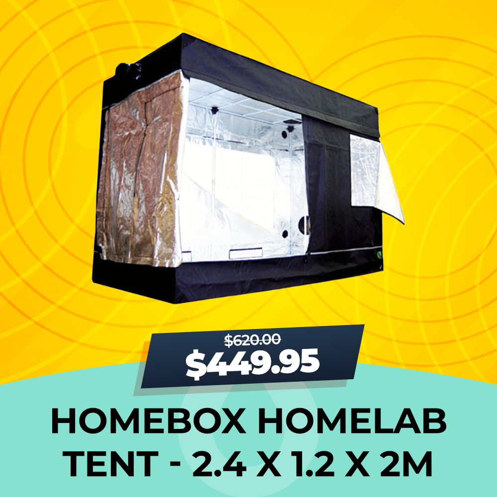 Homebox Homelab Tent 2.4m x 1.2m x 2m, 15% OFF, Hydro Experts