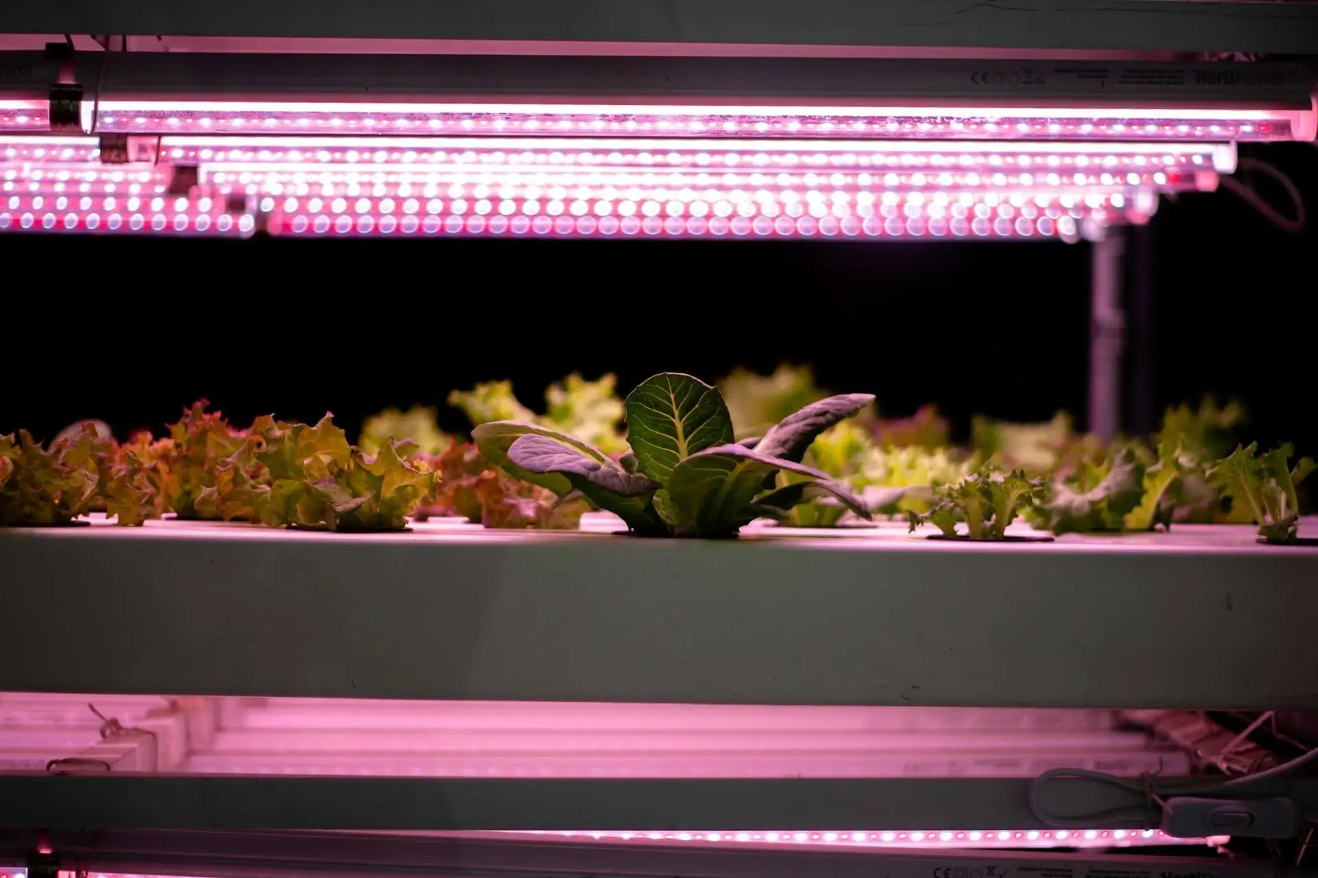 How to read a grow light spec sheet: PAR, PPFD, PPF, efficacy, and coverage explained