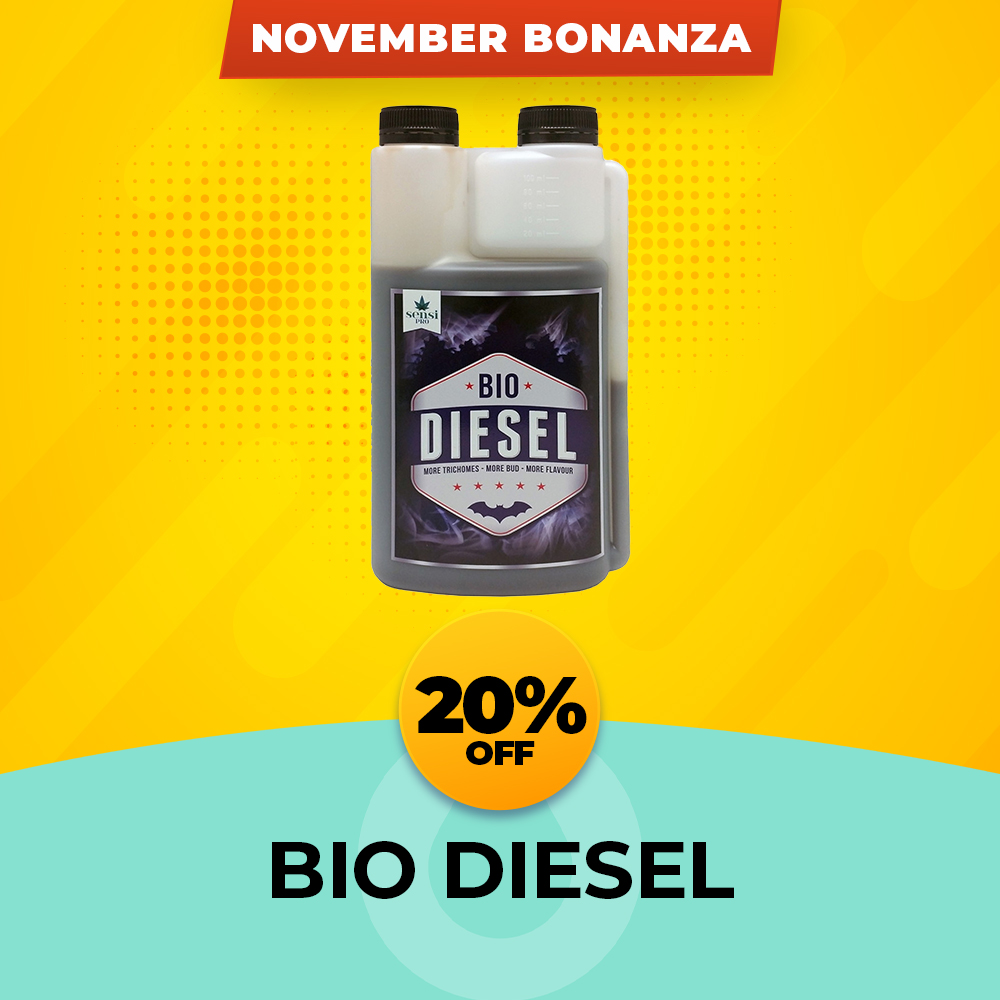 Bio Diesel 20% Off