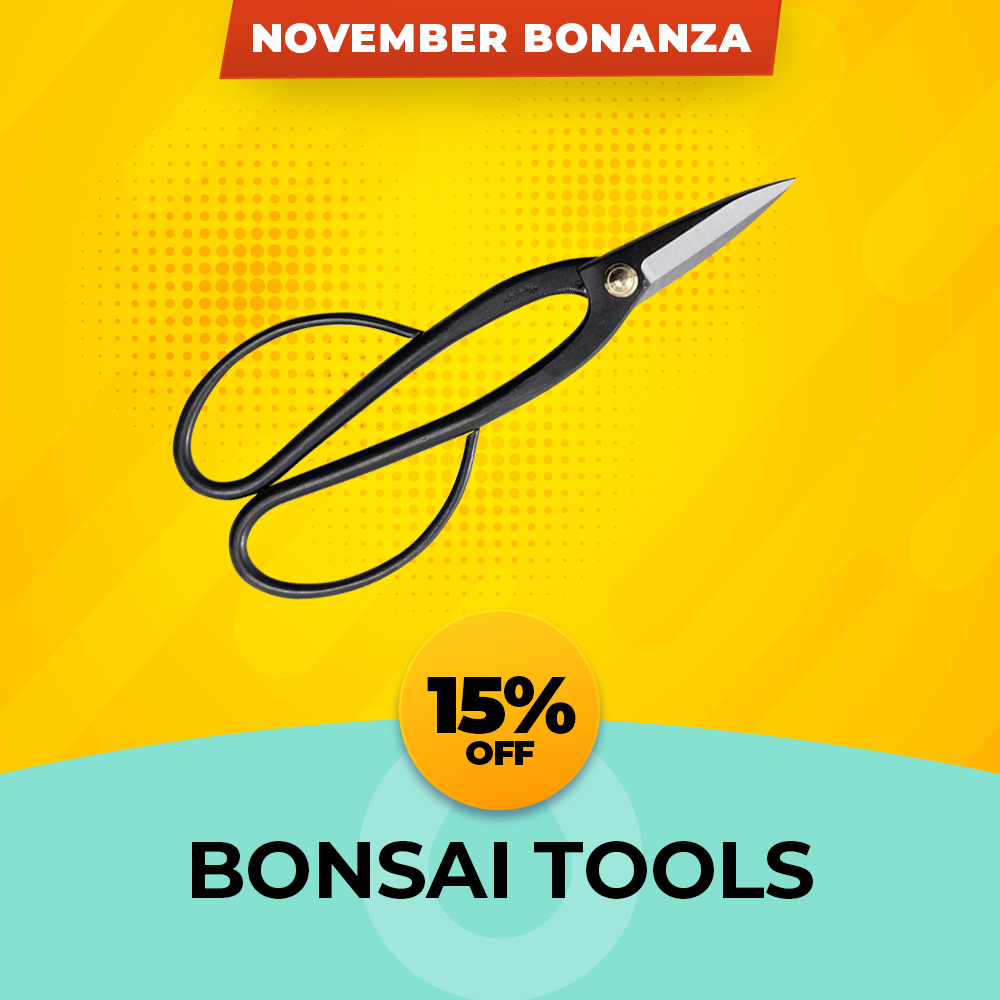 BONSAI TOOLS 15% off