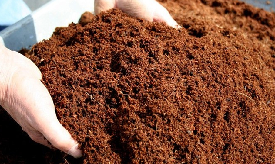 Resource Library Grow Mediums and Pots Why you need Cal Mag in Coco Coir