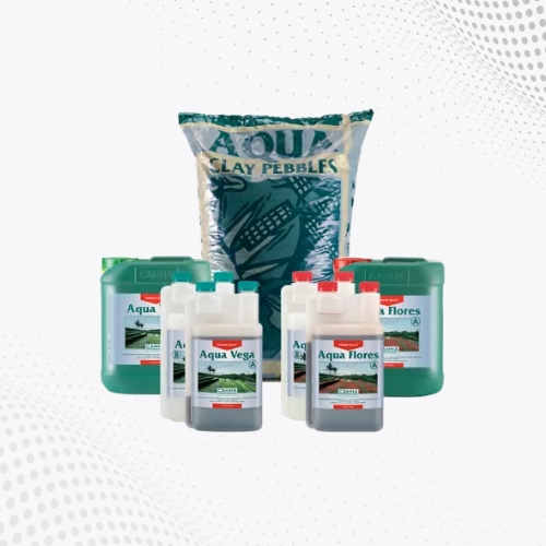 Canna Aqua