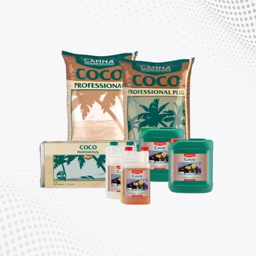 Canna Coco