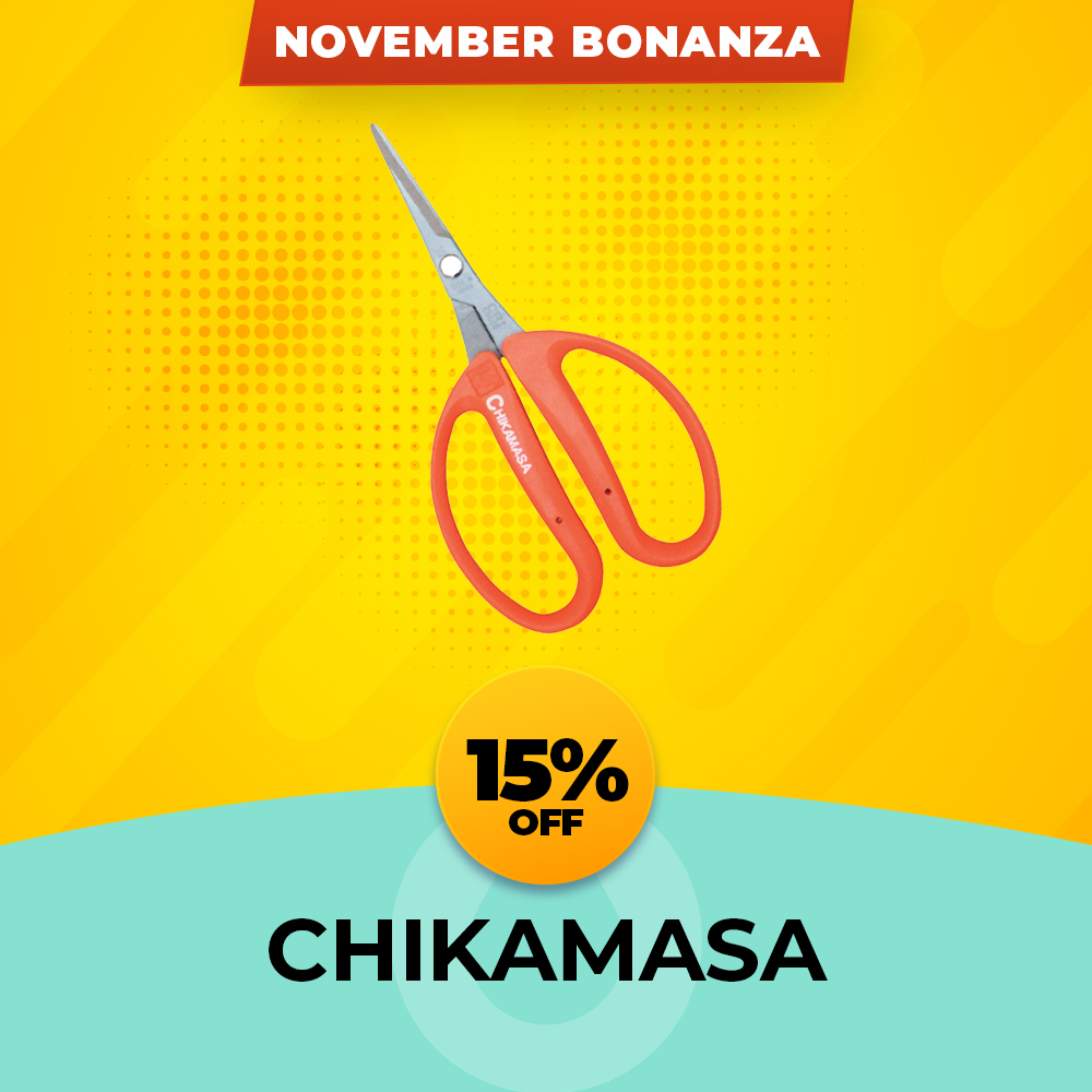 Chikamasa 15% OFF