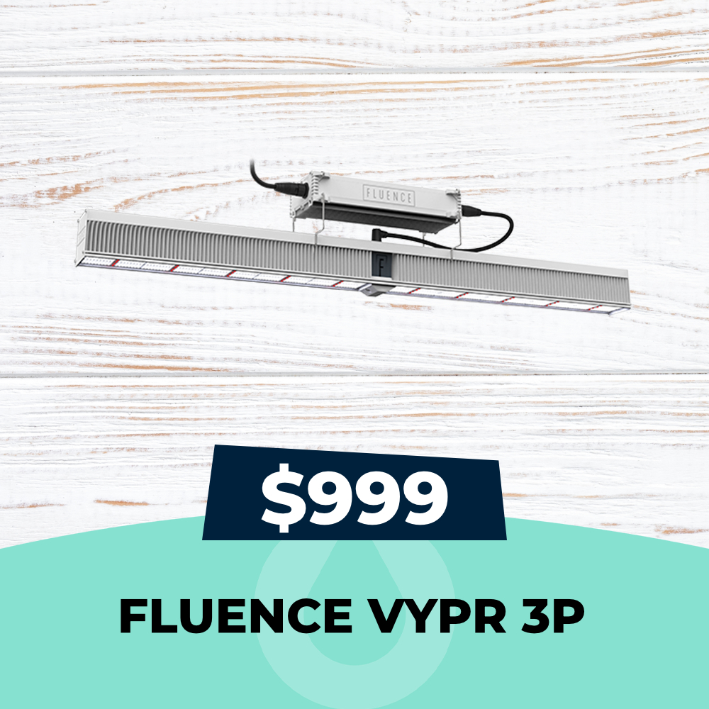Fluence VYPR 3P Sale, 630W LED, $999 Only, Hydro Experts
