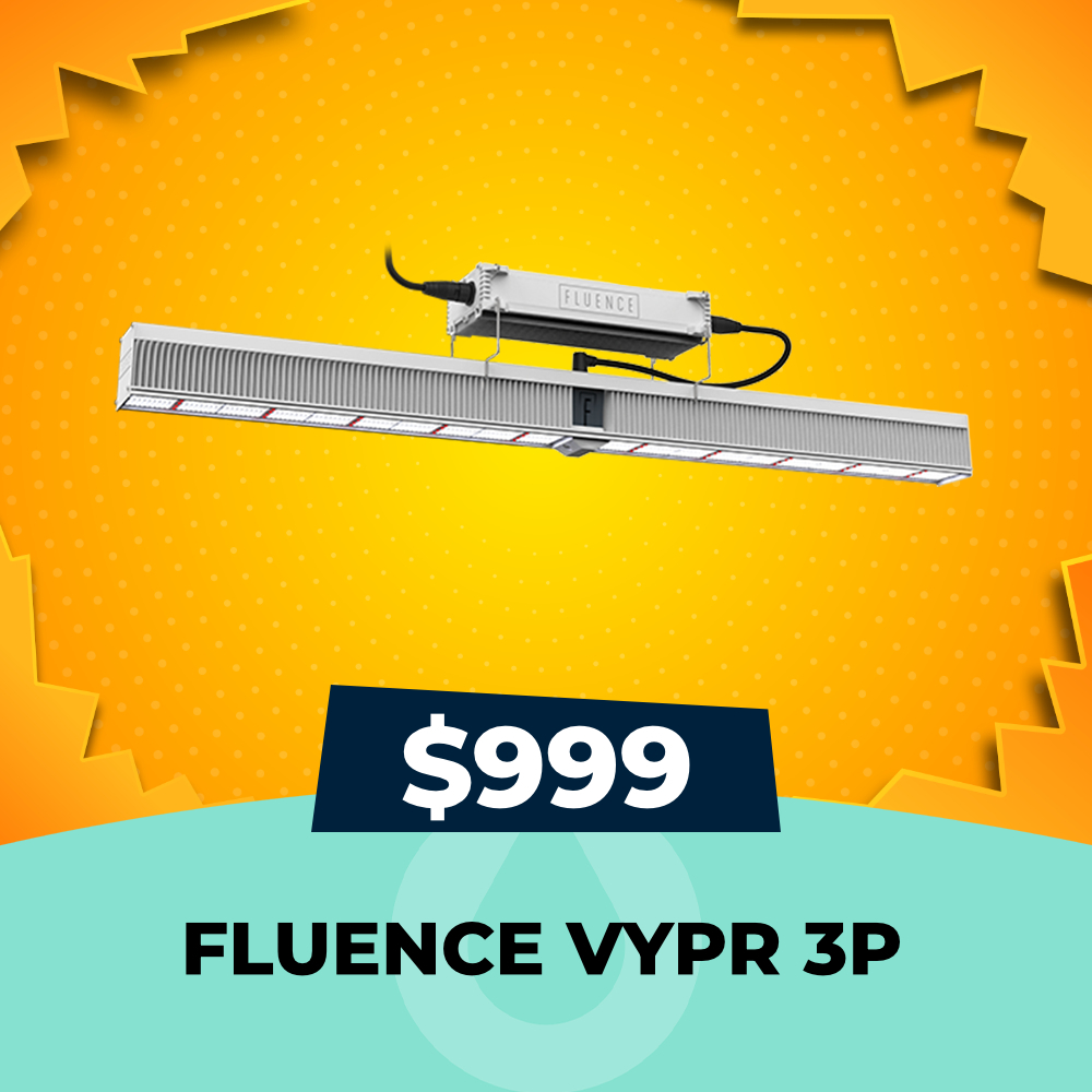 Fluence VYPR 3P Sale, 630W LED, $999 Only, Hydro Experts
