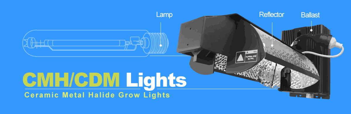 CMH/CDM Grows Lights