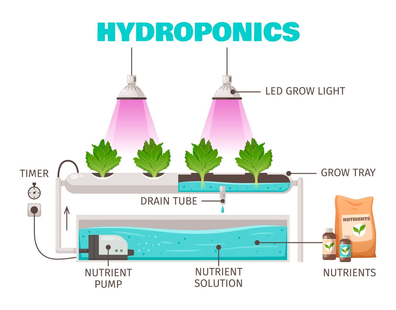 water pump, submersible pump, solar water pump, hydroponics, dwc system, nft system, aeroponics, wick system, led grow lights, hydroponics nutrients