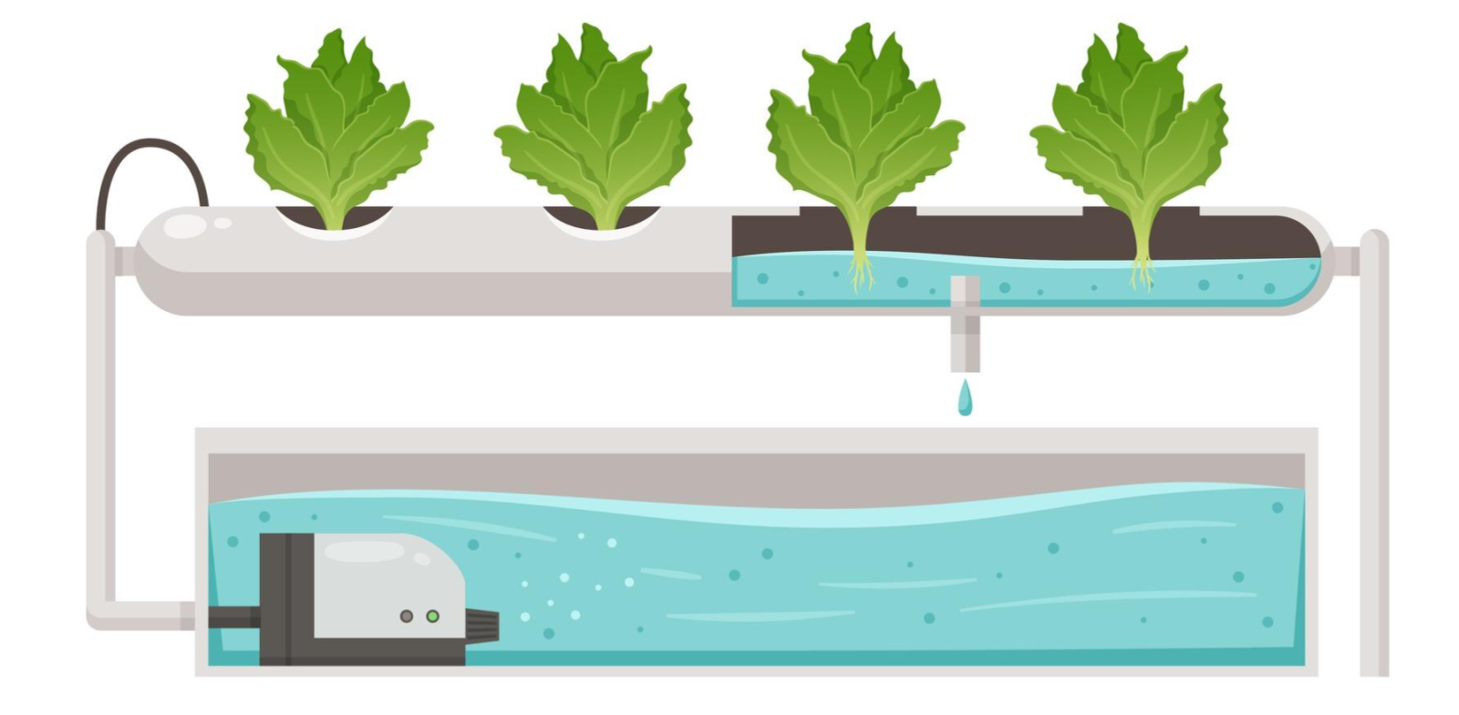 NFT System, Nutrient Film Technique, Hydroponics