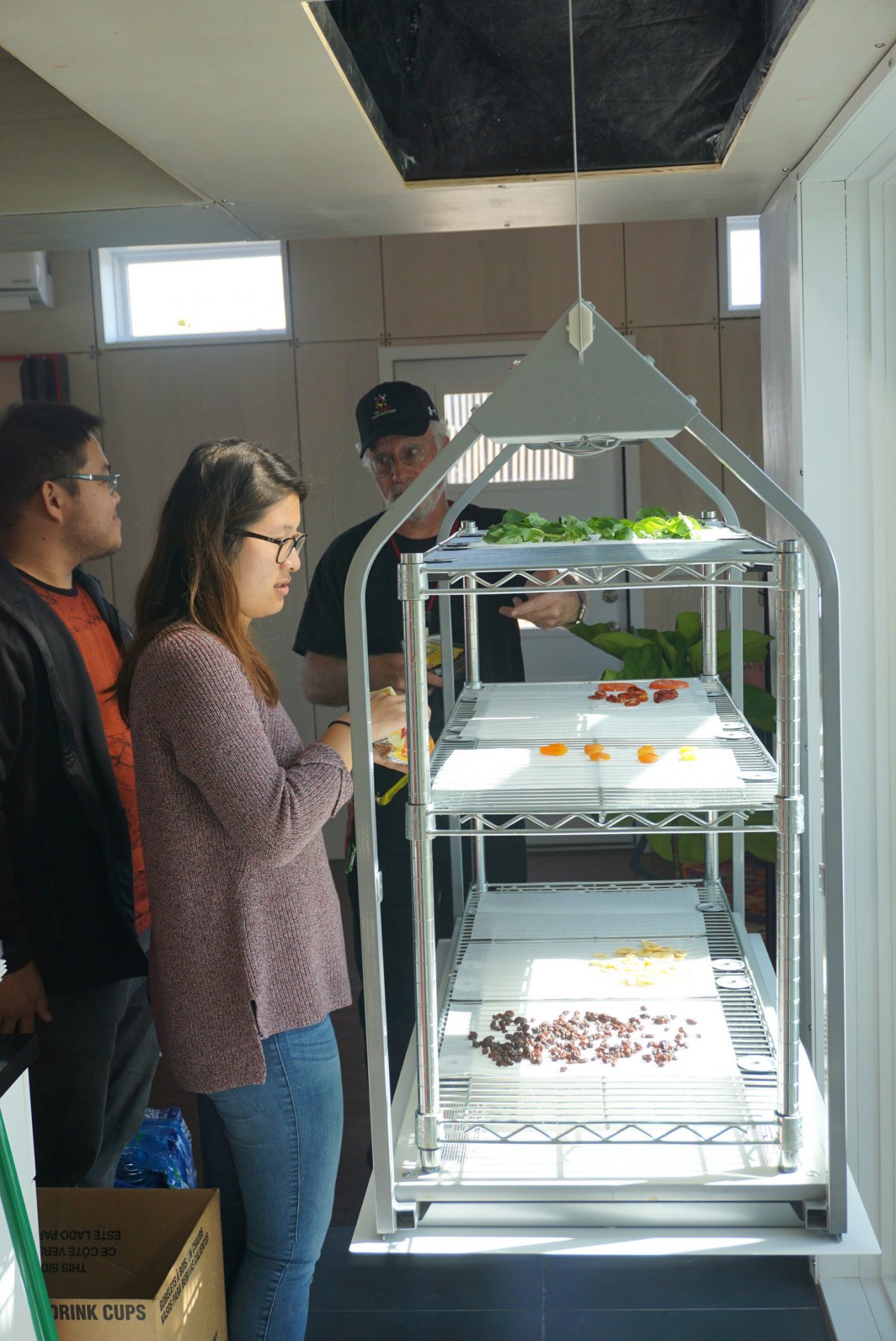 Indoor Hydroponics Farm