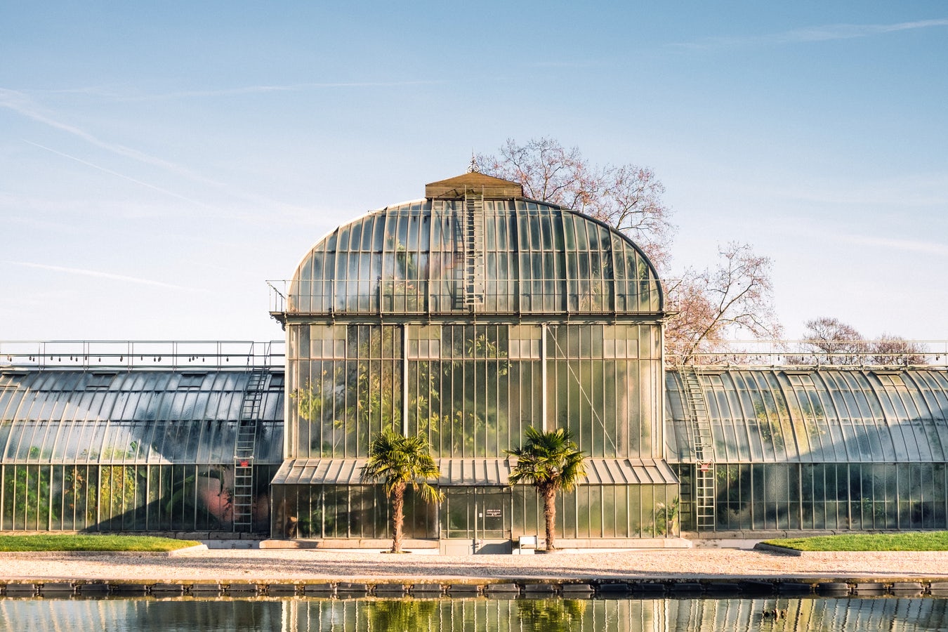 How to Cool Your Greenhouse/Grow room