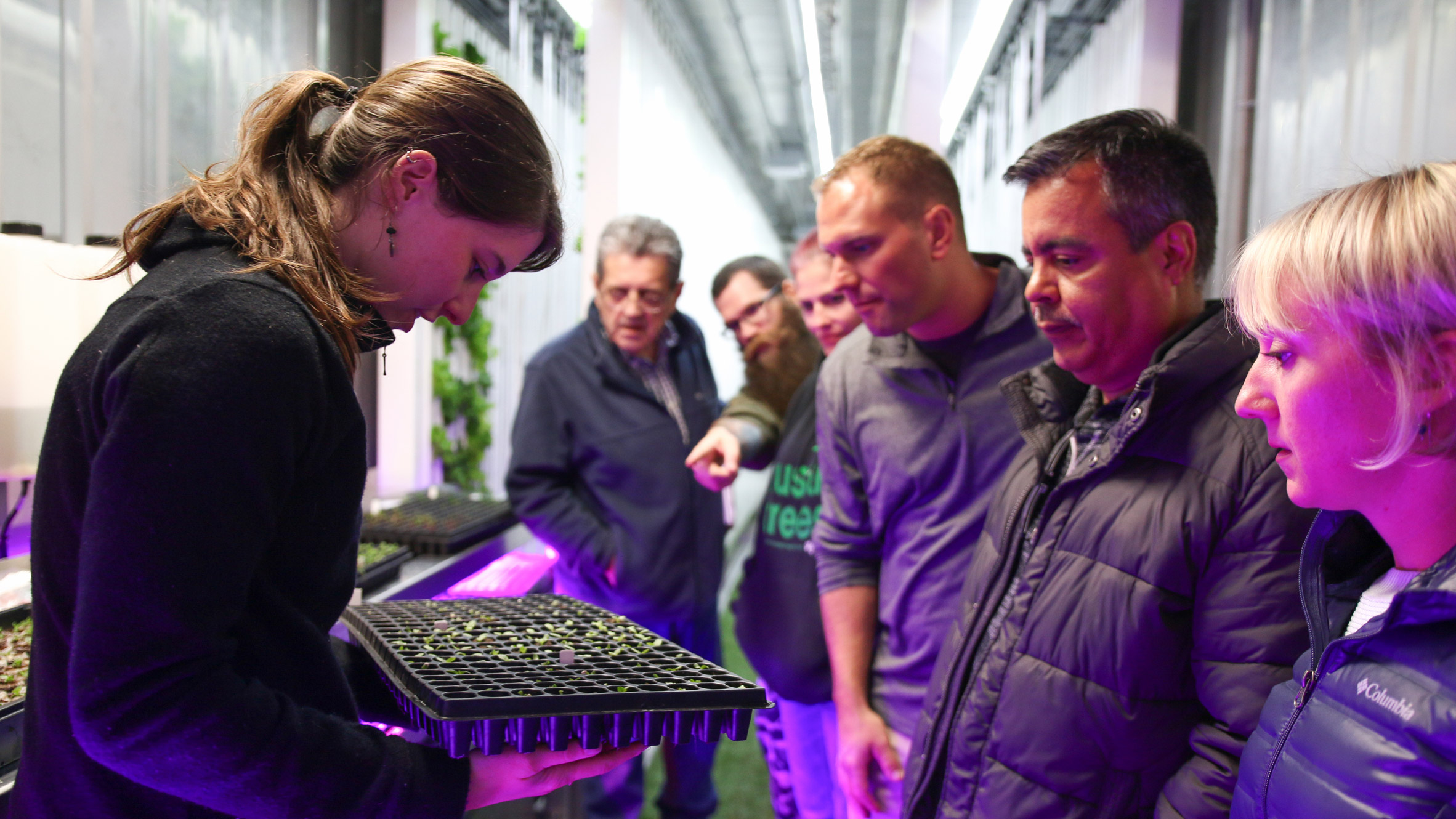 Hydroponic farm in containers