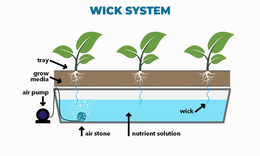 https://www.hydroexperts.com.au/assets/images/wick-system%281%29.jpg