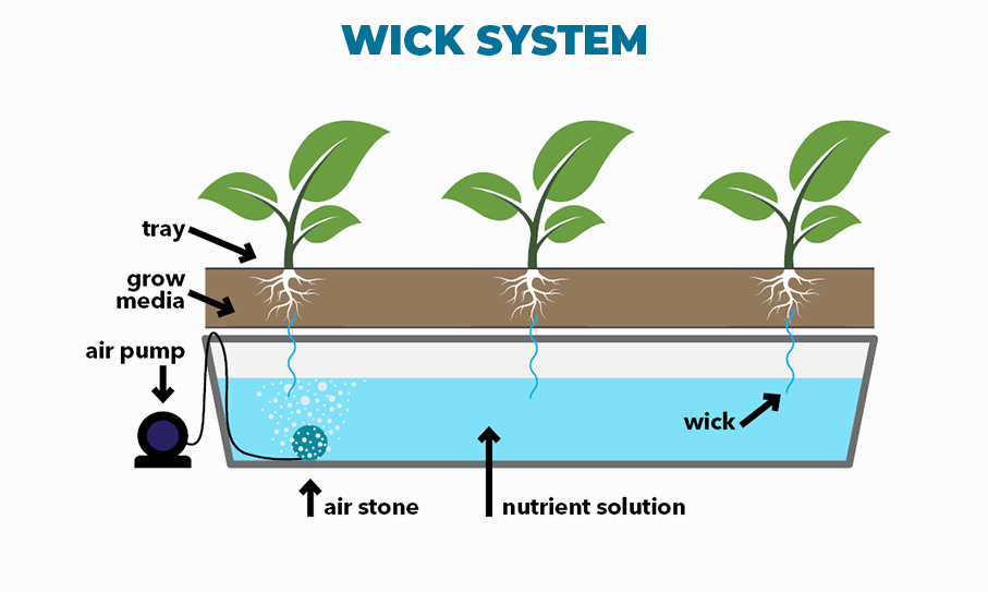 Resource Library Hydroponic System Wick System