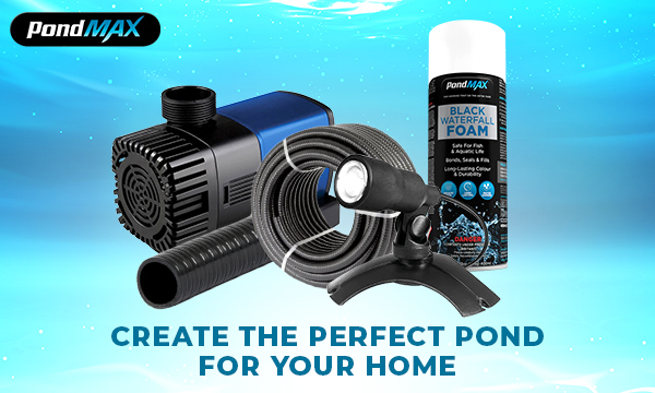 Pond Supplies - Pond Pump & Pond Accessories