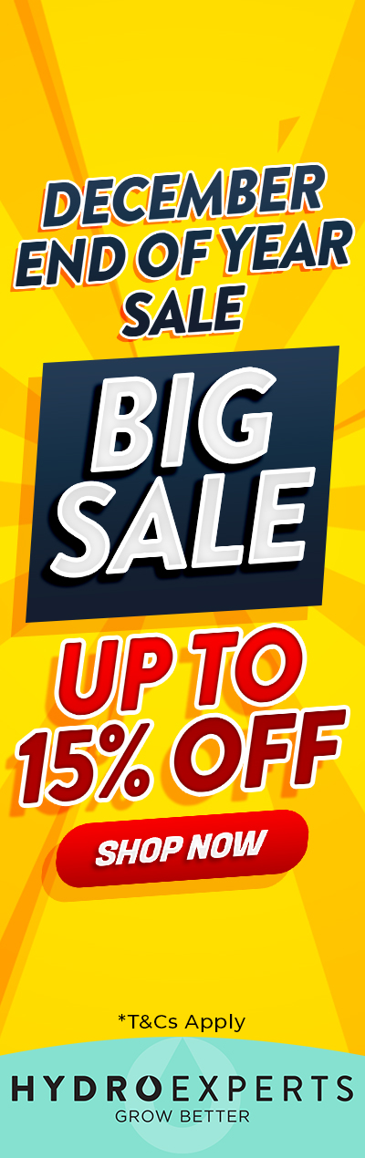 December End of Year Sale 2023 - Up To 15% OFF rit